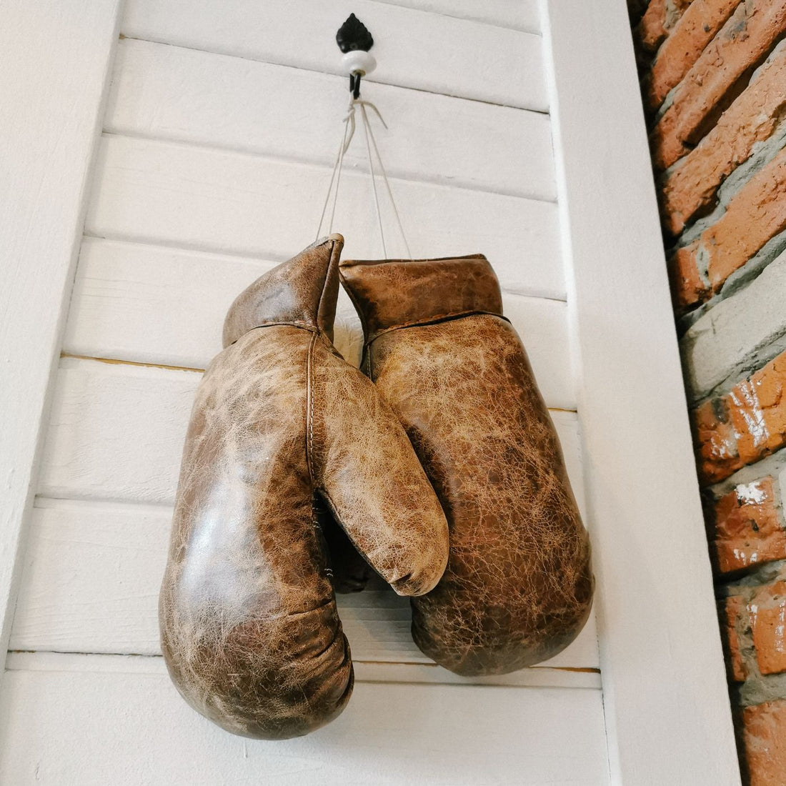 Leather boxing gloves hanging up to dry