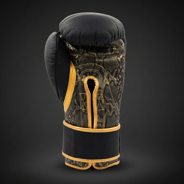 Drago Titan T-1 Training Gloves - Black/Gold